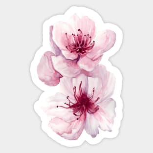 Peach Blossom Sticker